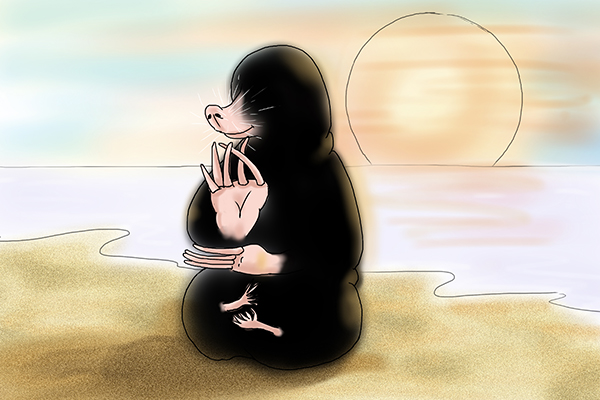 a mole meditating on the beach